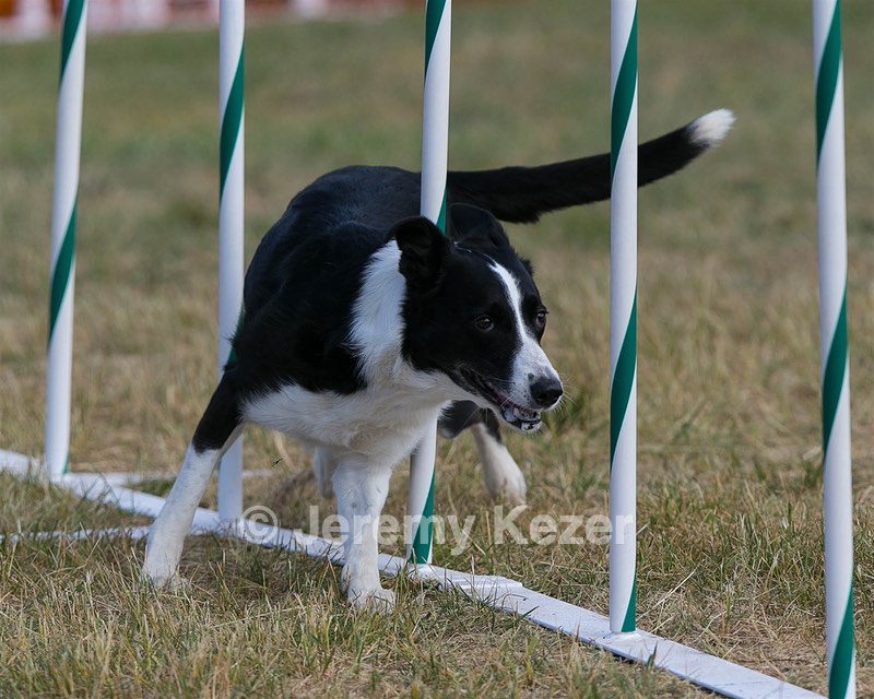 20150614-CCKC-0020.jpg
