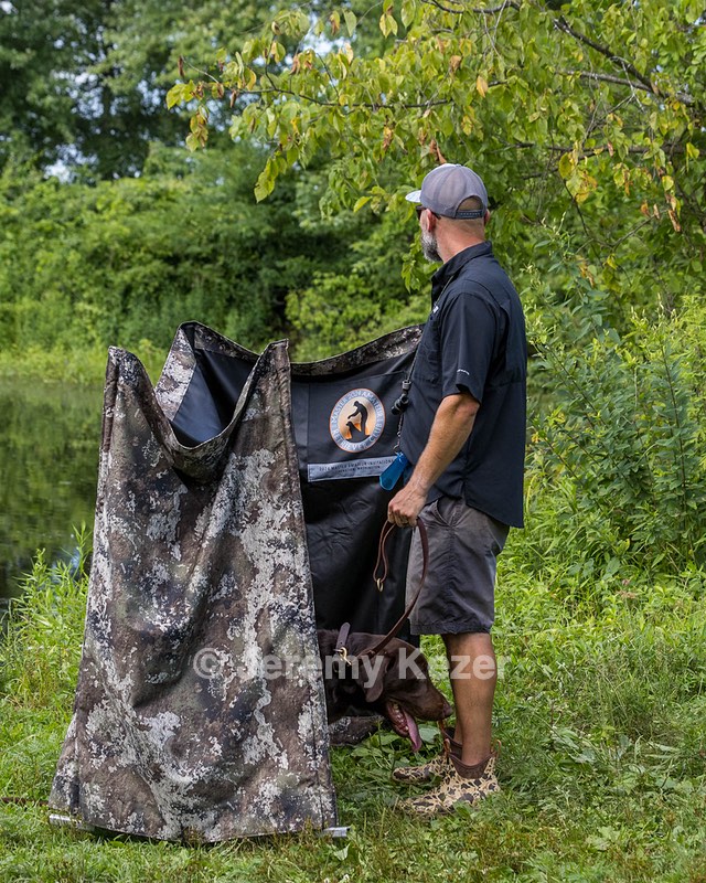 Moose Molle