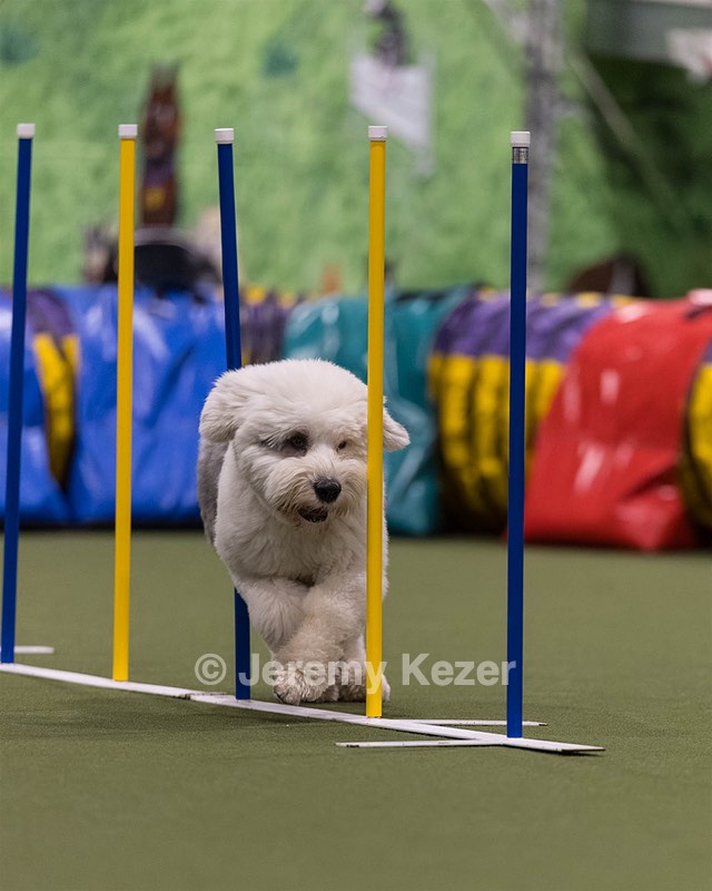 Yoshi Mabardy