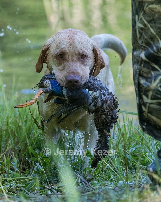 Bubba Martin