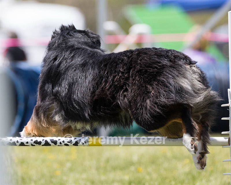 20160514-NEAT-0775.jpg