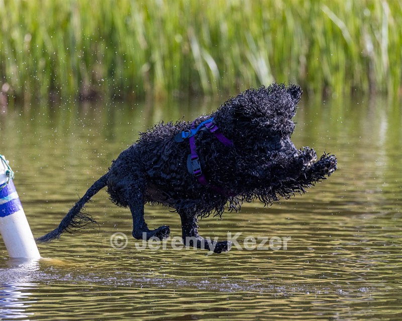 Perry