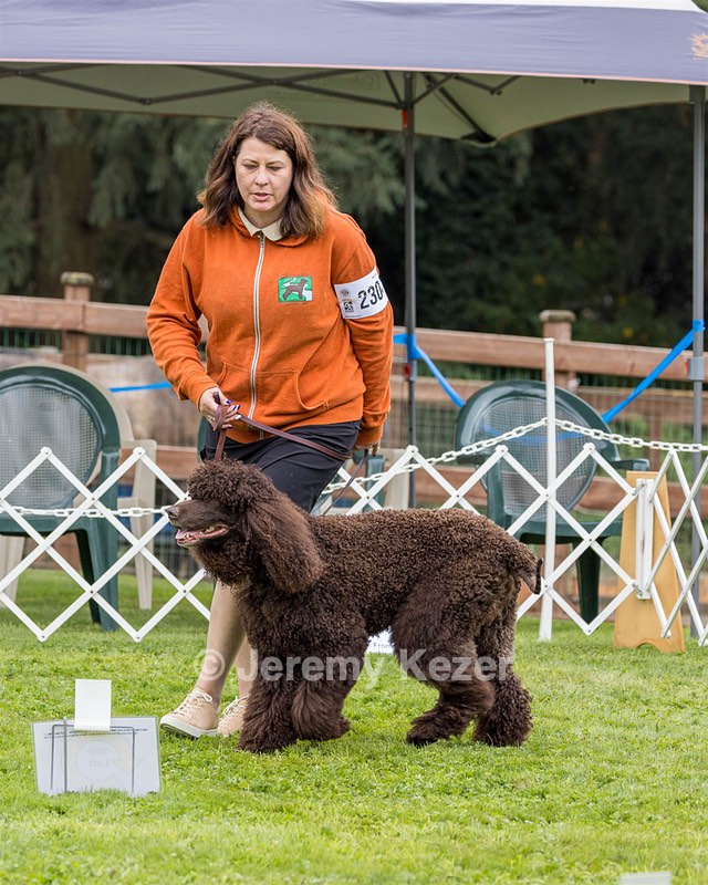 2304 - GCH CH BREKKON'S FIRST MARK BN RN CGC TKN