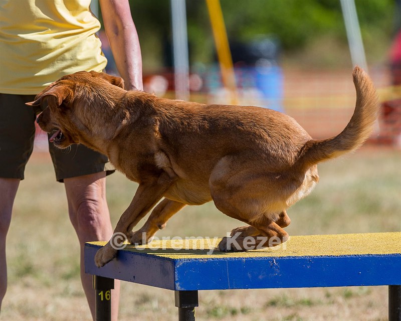 20160618-CCKC-0208.jpg