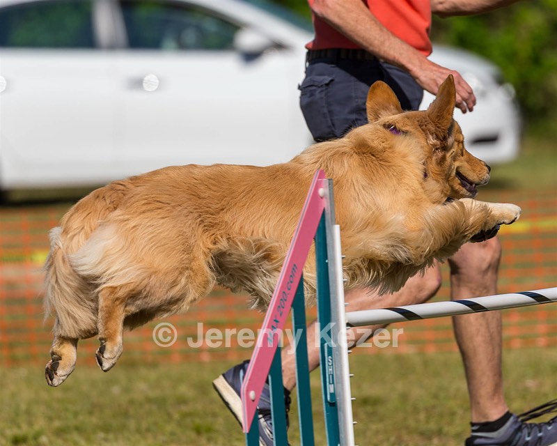 20190615-CCKC-0141.jpg