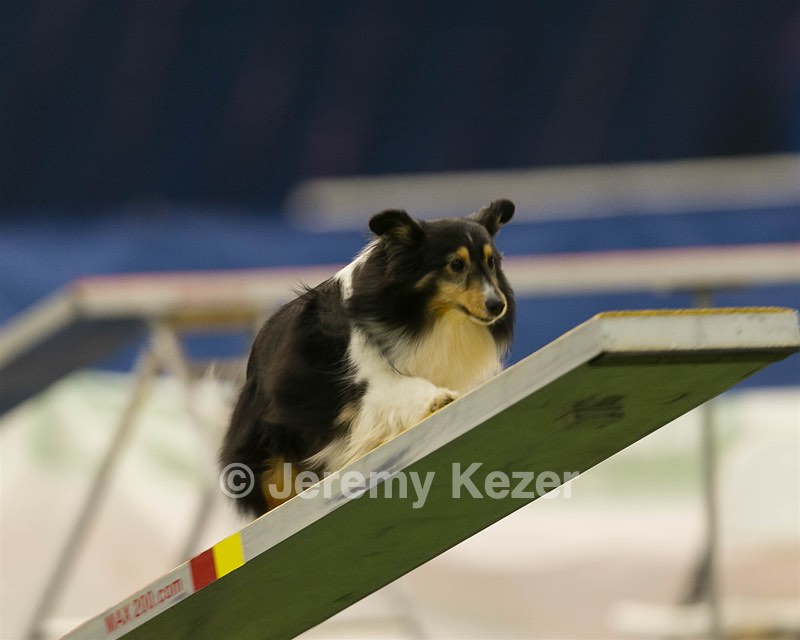 20150321-LEAP-1670.jpg