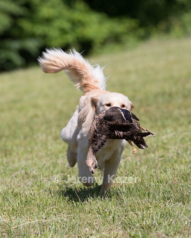 20130601-SHRL-0422.jpg