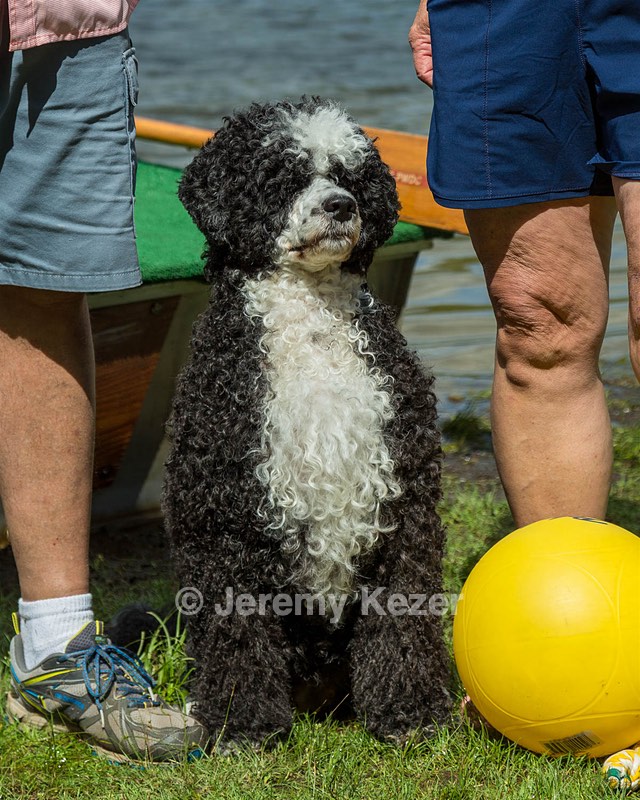 20170820-A-0007.jpg