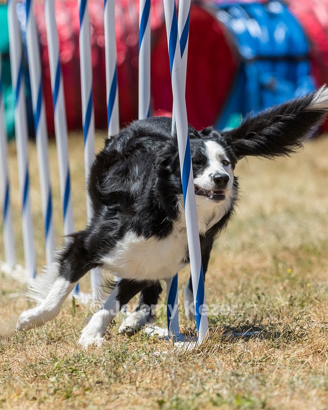 20160618-CCKC-1546.jpg
