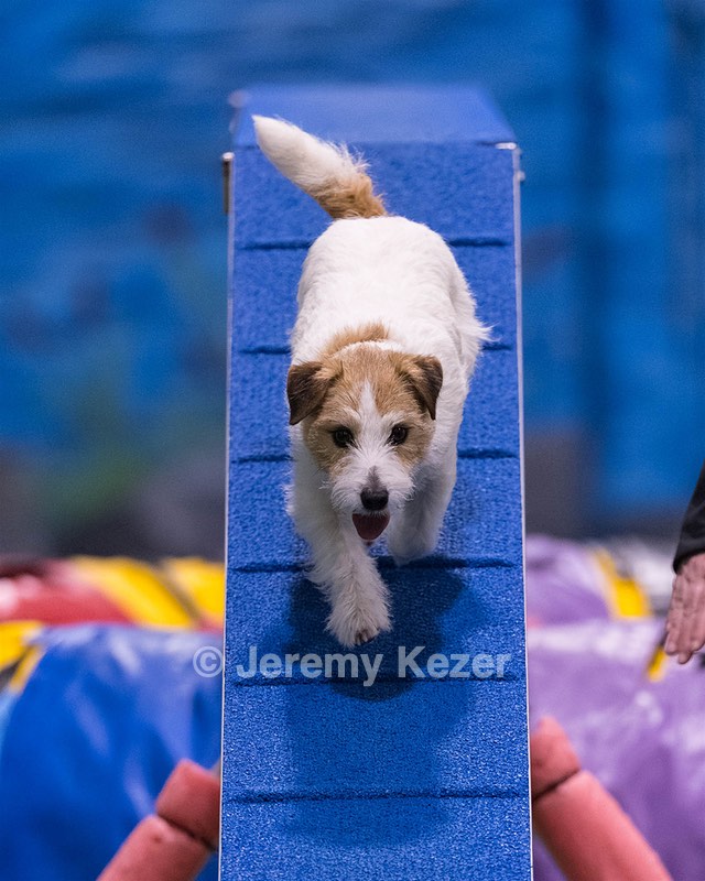 Teddy Caruso