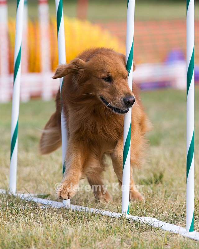 20150614-CCKC-0083.jpg