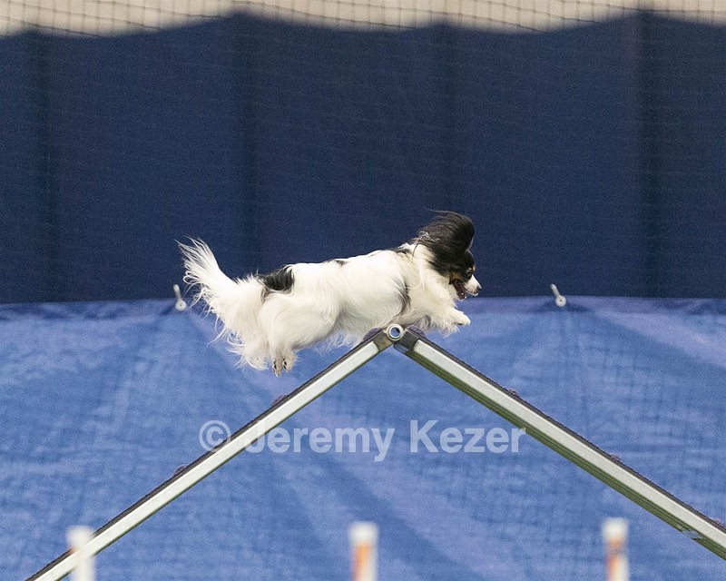 20150321-LEAP-1741.jpg