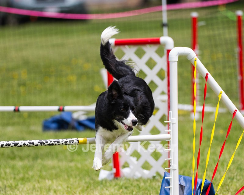 20160515-NEAT-1330.jpg