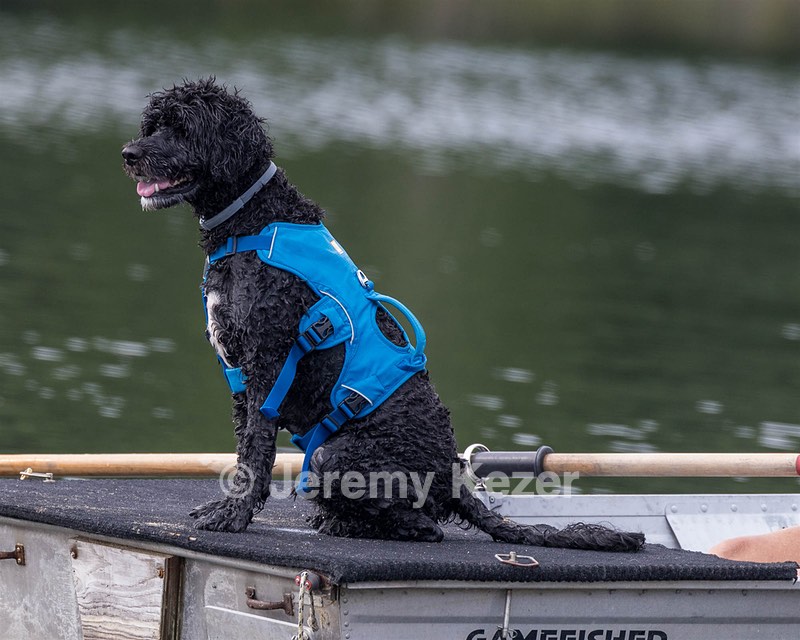 Fenwick Kutner