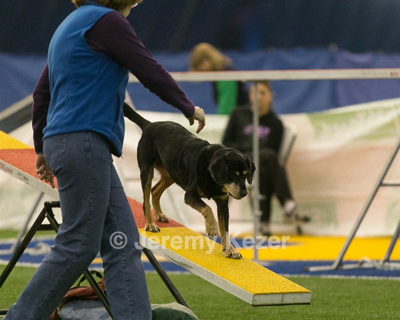 20150321-LEAP-1422.jpg