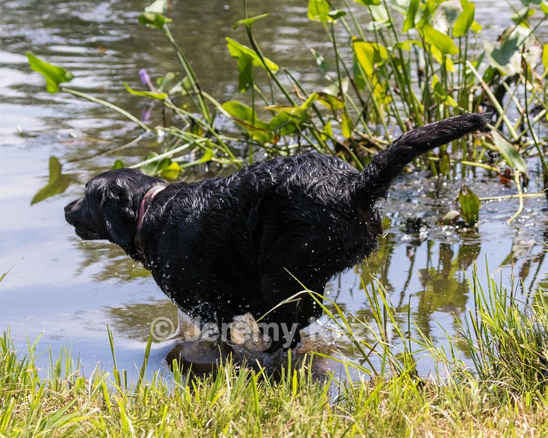 20190803-JHW-0018.jpg
