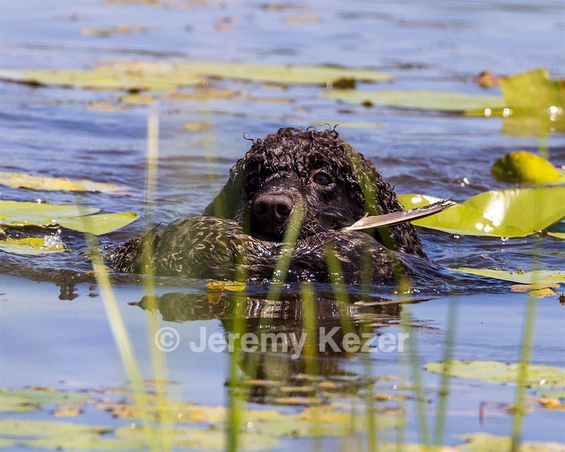 Ghillie Kezer