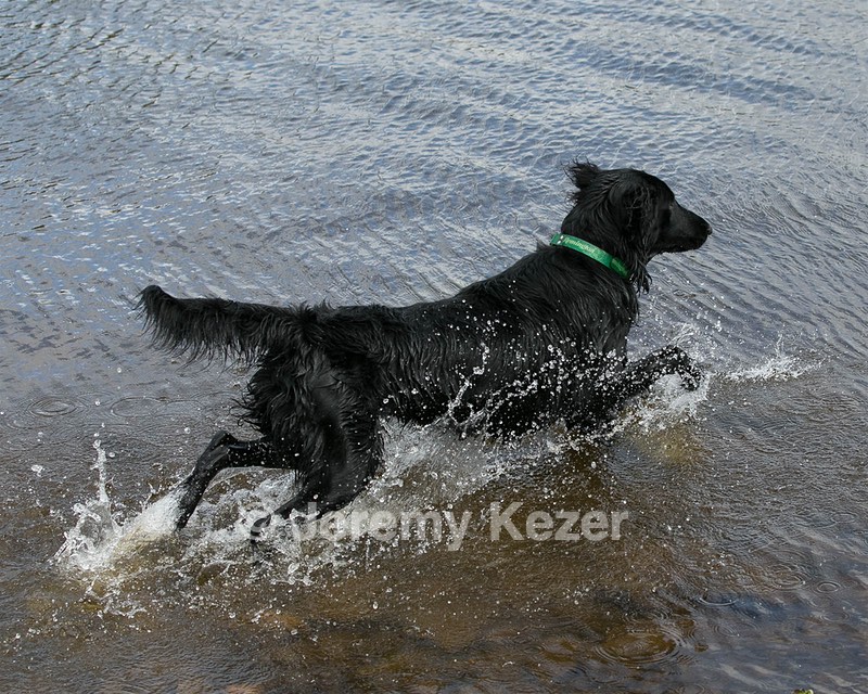 Parker