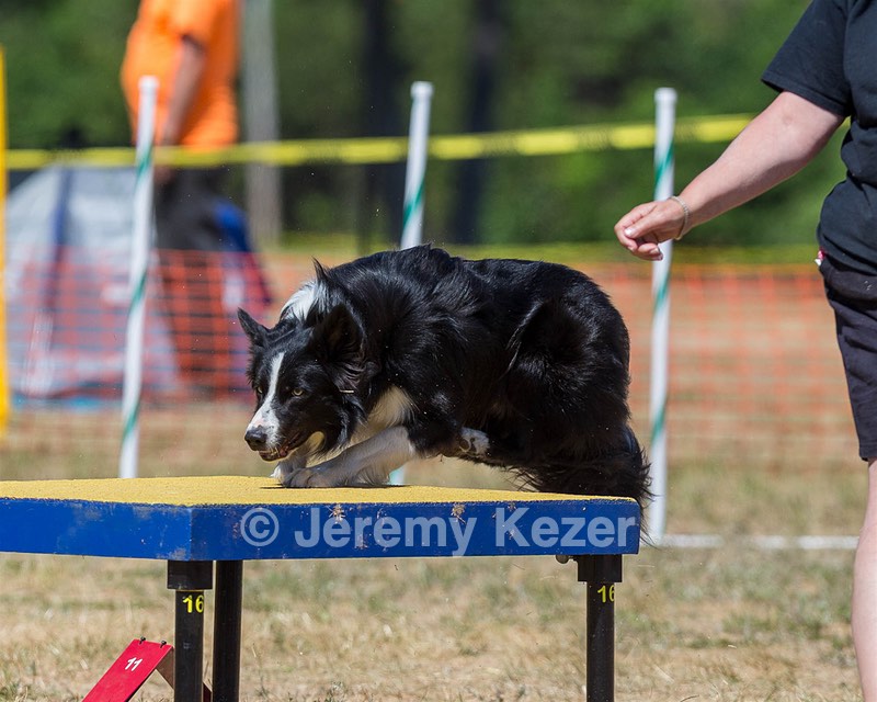 20160619-CCKC-1455.jpg