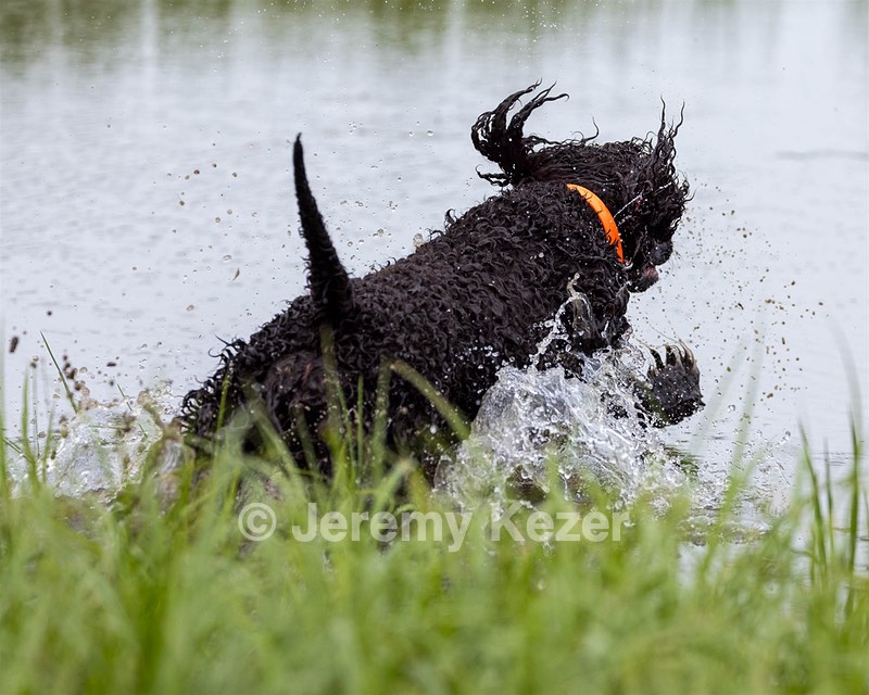 Ghillie Kezer