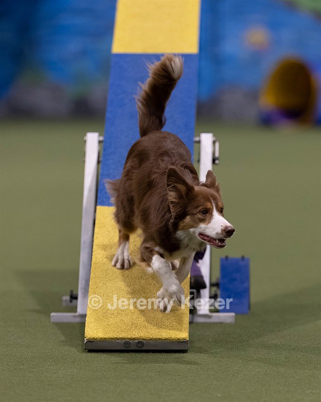 20260221-0890.jpg