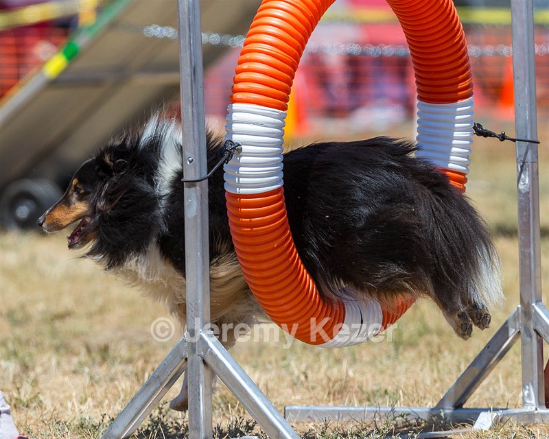 20160619-CCKC-1217.jpg
