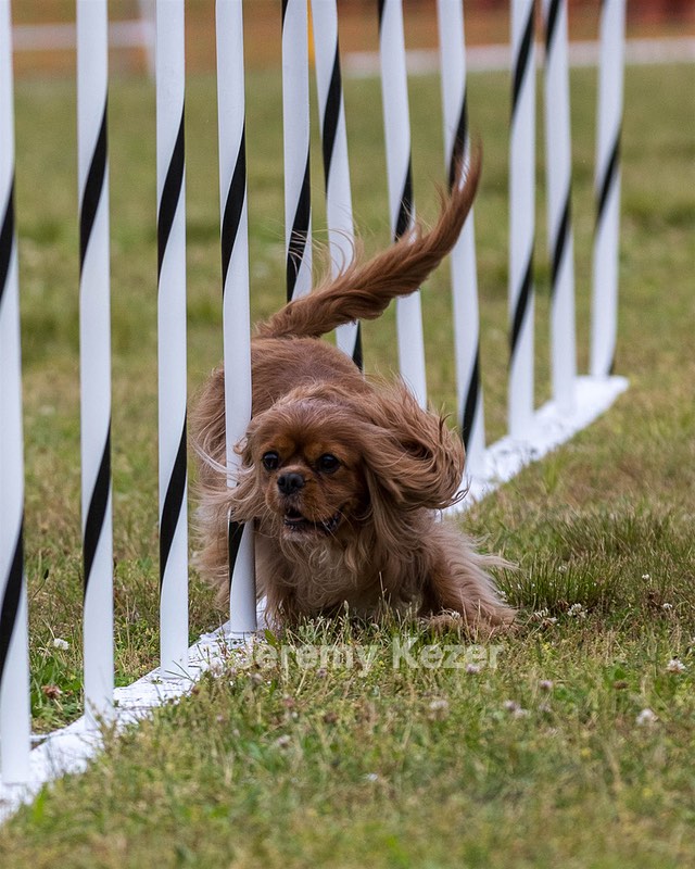 Buster Lefferts
