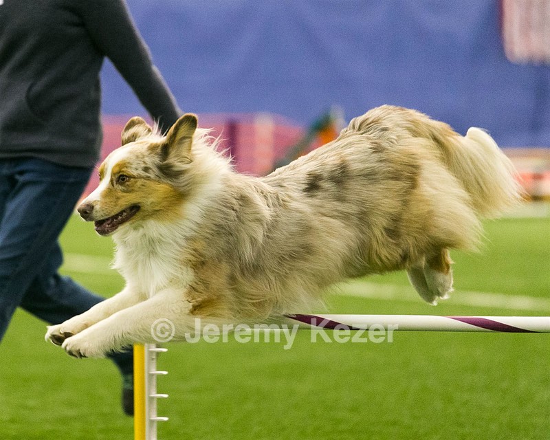 20150321-LEAP-0781.jpg