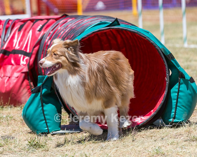 Clara Latno