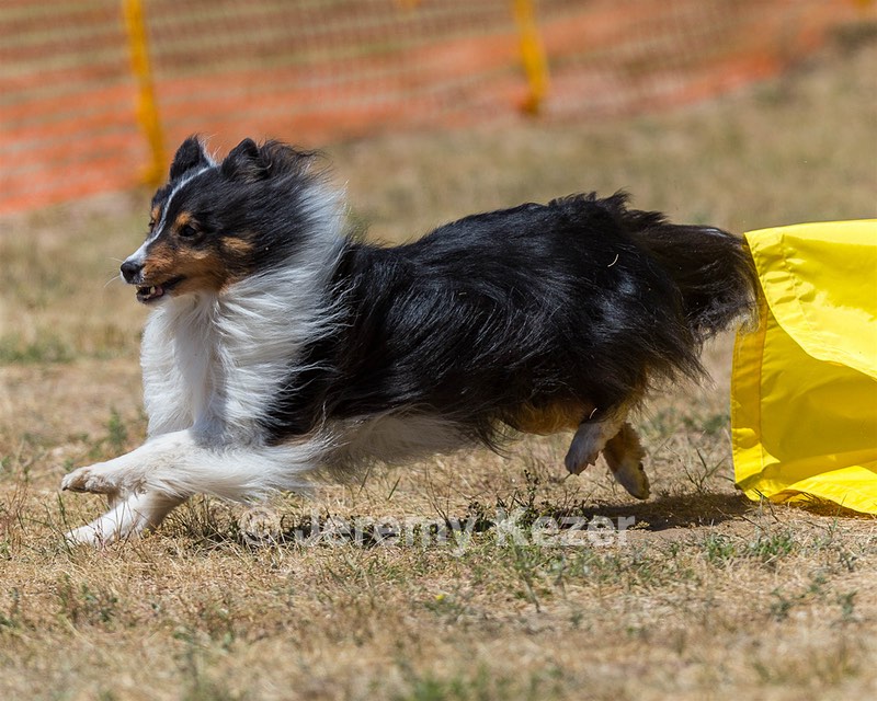 20160619-CCKC-1278.jpg