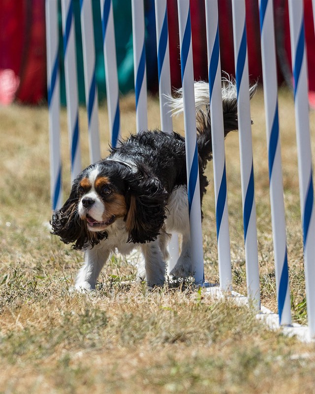 Gem Lafave-Saletnik