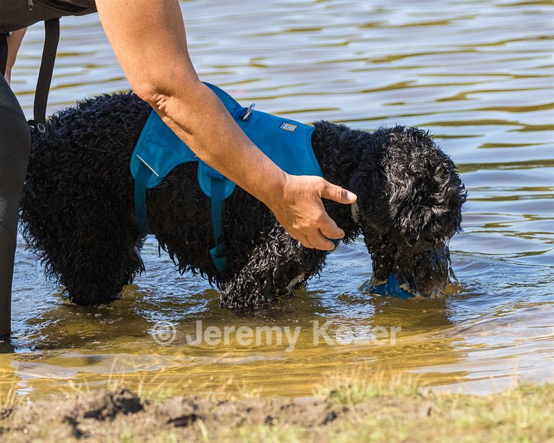 Fenwick Janet