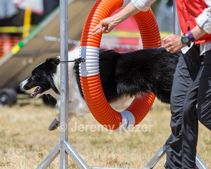 20160619-CCKC-1342.jpg