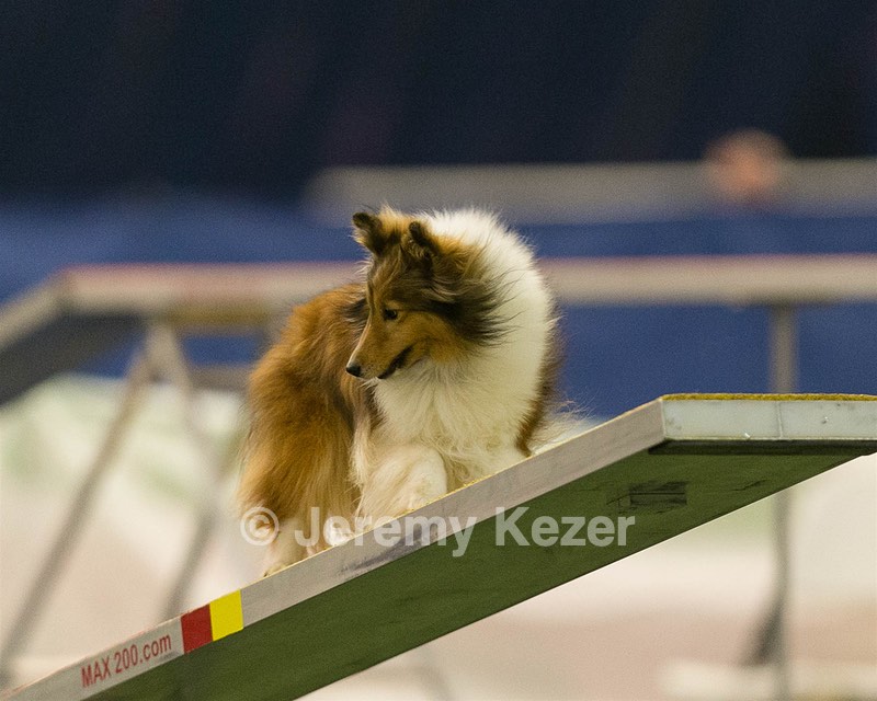 20150321-LEAP-1622.jpg