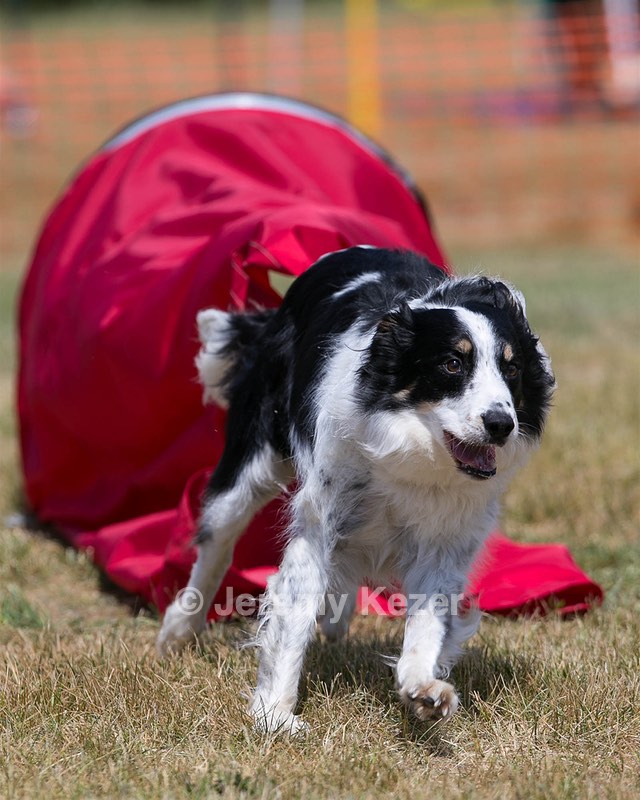 20150613-CCKC-0144.jpg