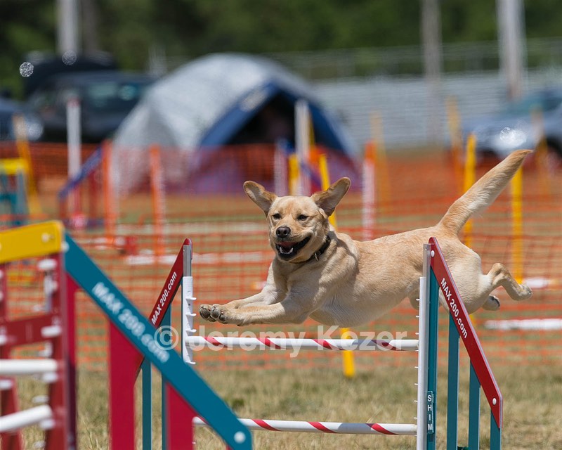 20150614-CCKC-1729.jpg