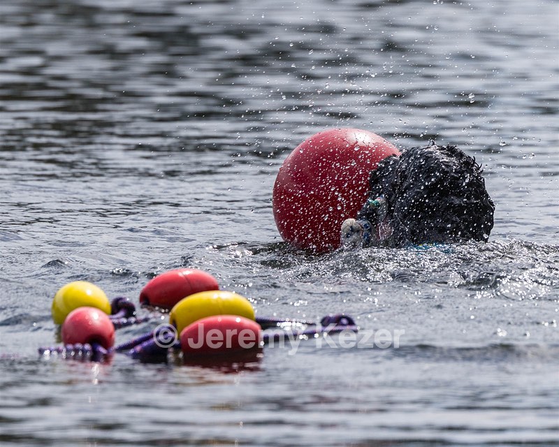 Micah Marian