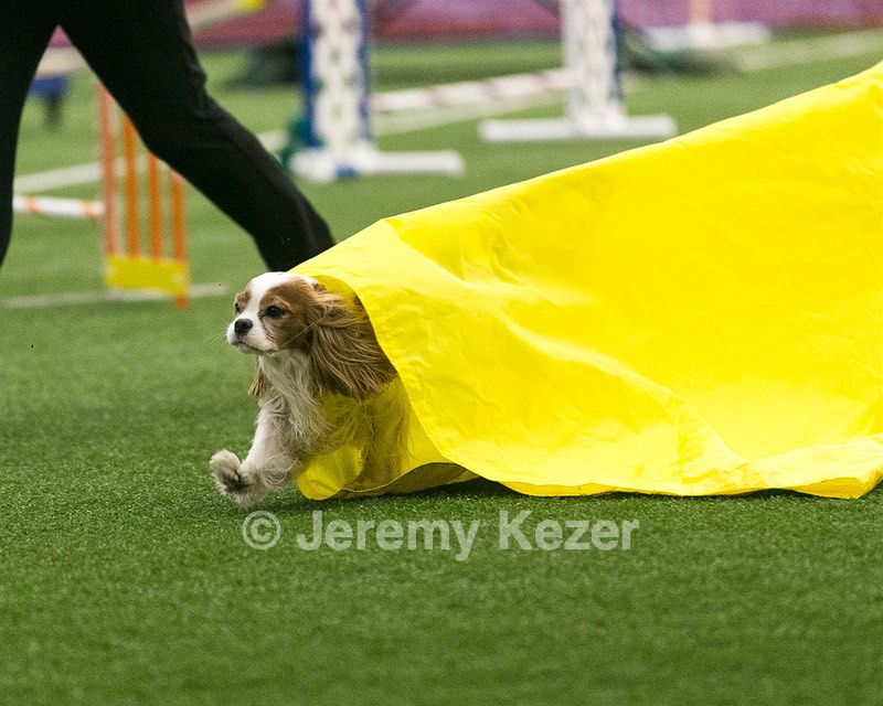 20150322-LEAP-0092.jpg