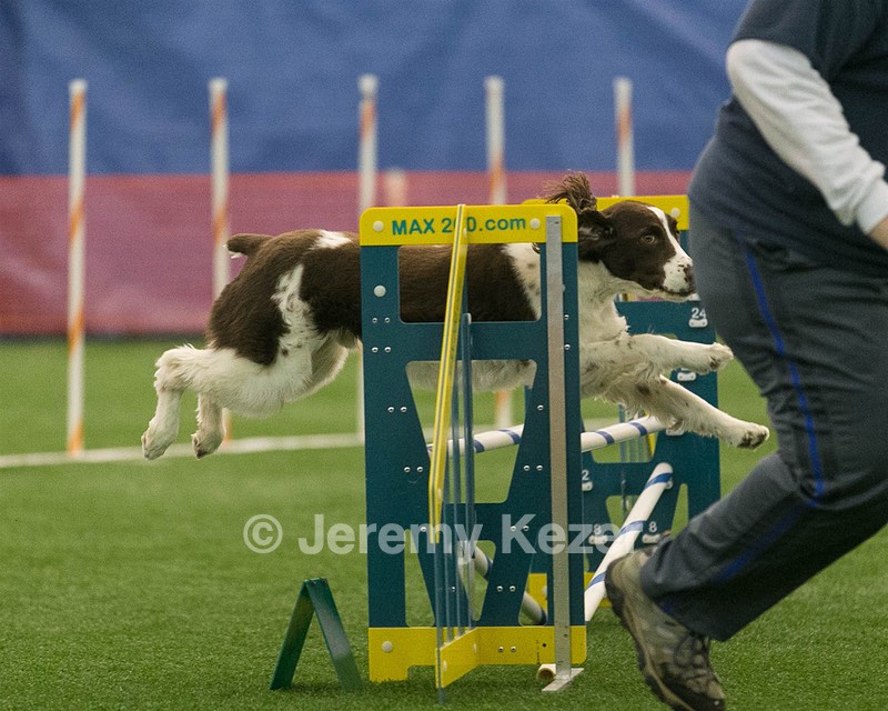 20150321-LEAP-1430.jpg