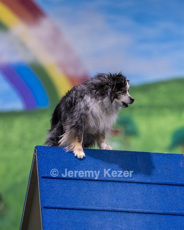 Breezy Jewett