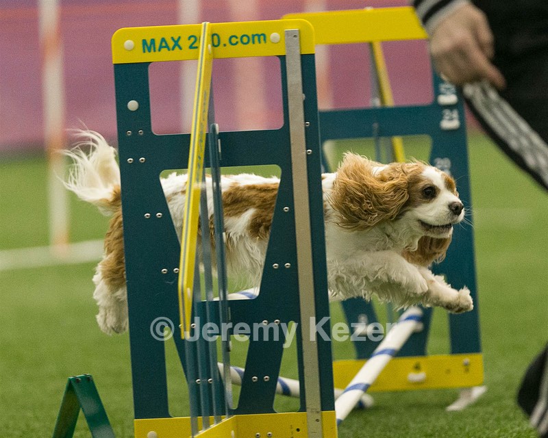 20150321-LEAP-1598.jpg