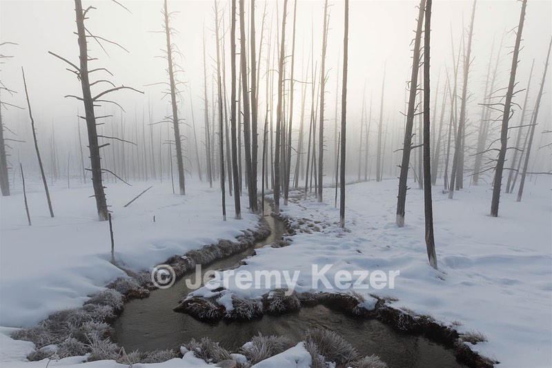 Yellowstone National Park, Montana