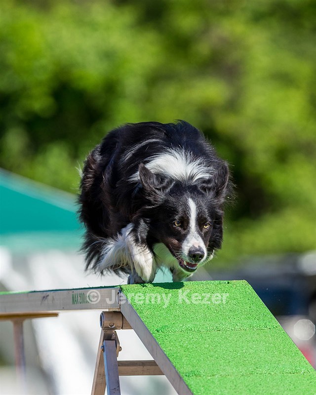 20160618-CCKC-0192.jpg
