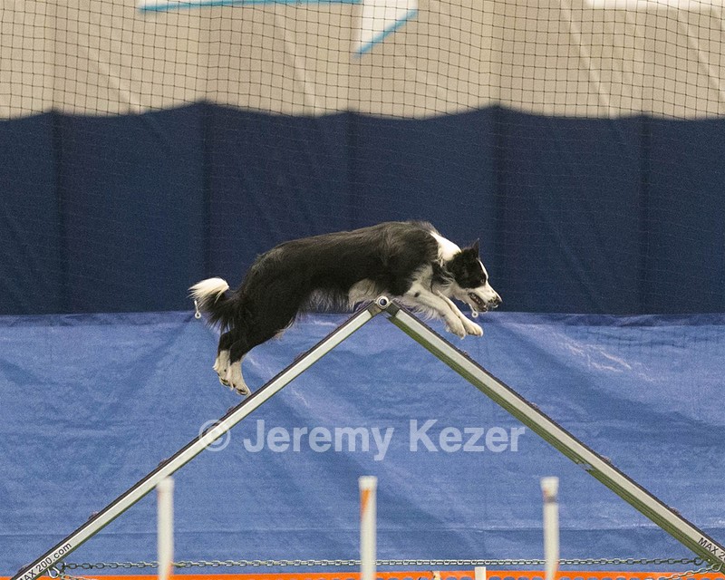 20150321-LEAP-0862.jpg