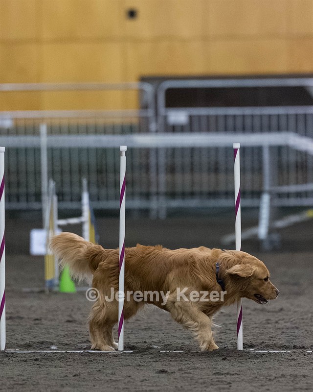Pup-Pup Beaulieu