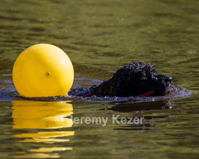Perry