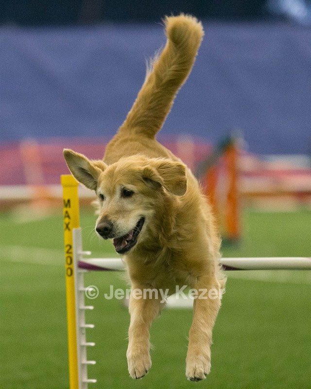 20150321-LEAP-0703.jpg