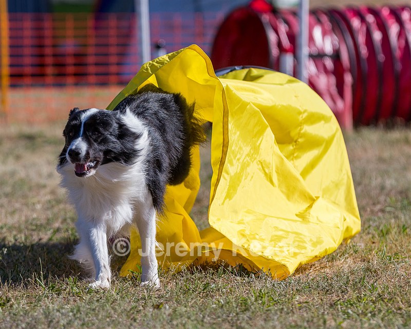 20160618-CCKC-0077.jpg