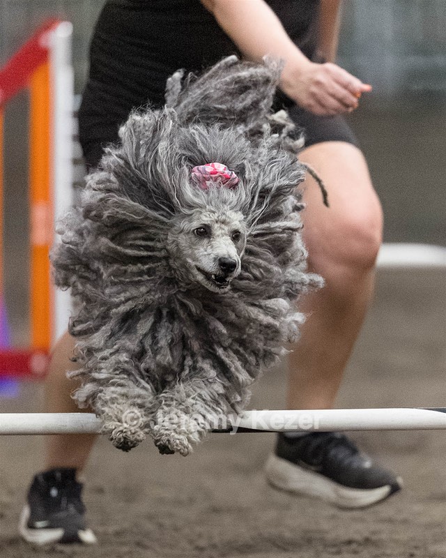 Peetie Sulewski