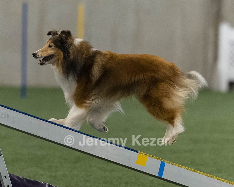 Relay Spooner